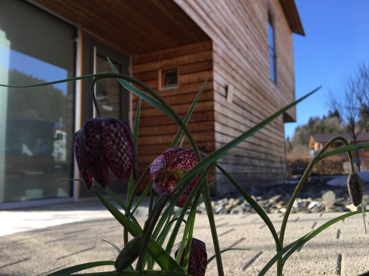 Gaestewohnung Zum Atelier Immenstadt im Allgäu Exteriér fotografie